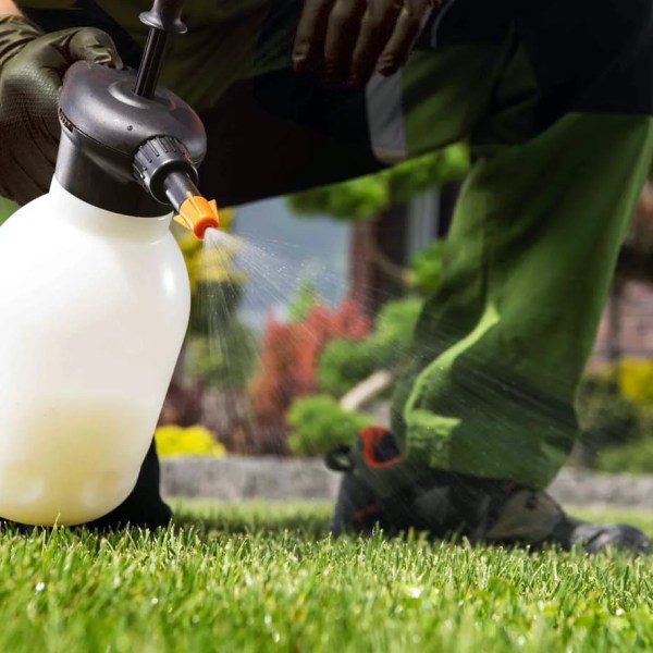 weed spot control treatments with Lion's Turf