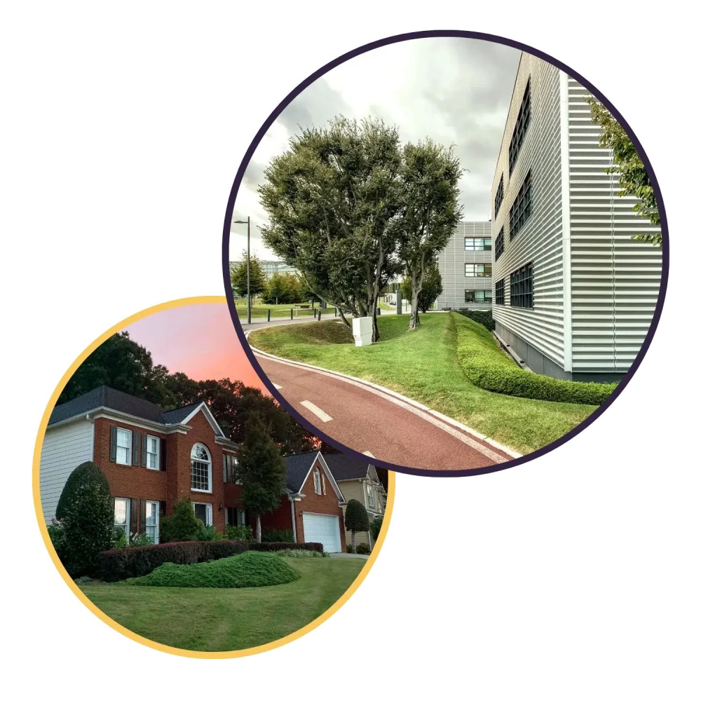 Lion's Turf providing lawn care services and yard applications in the Memphis area